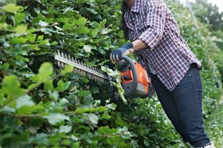 545RXT Professional Brushcutter - view 6