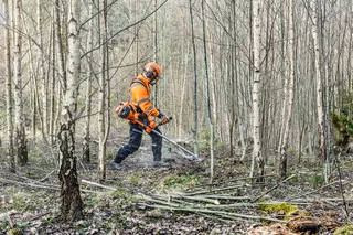 545RXT Professional Brushcutter - view 7