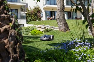 P525D Commercial Front Mower - view 3